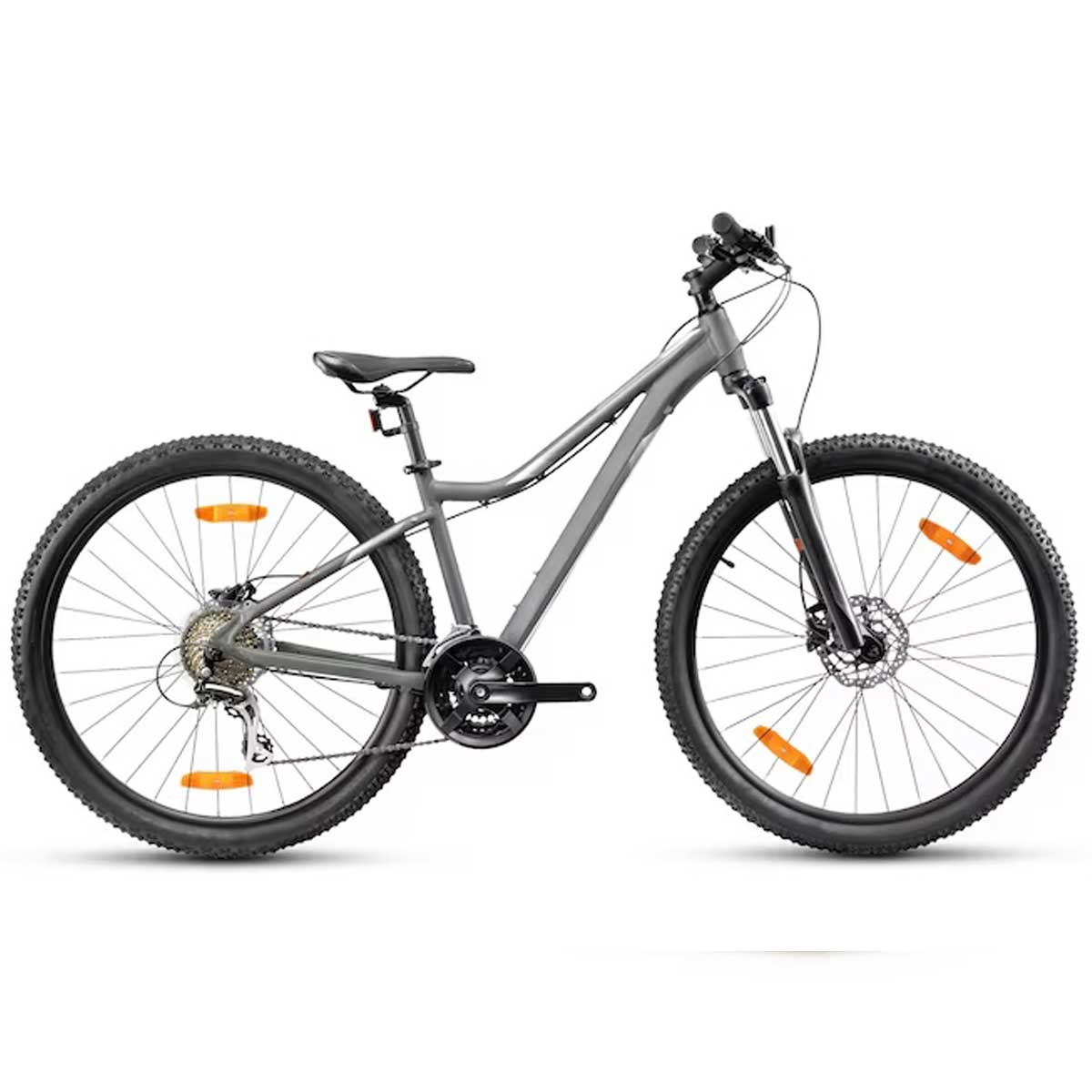 Bick2